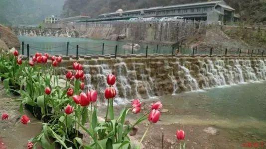 比亚迪智能化亮剑:前瞻实业家王传福引领智驾革命